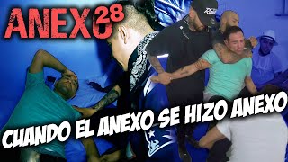 Anexo 28 │ Christian Meza [upl. by Quenby]