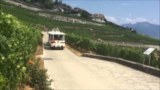 Petit train des vignes LavauxPanoramic Chexbres  StSaphorin  Rivaz Suisse [upl. by Signe]