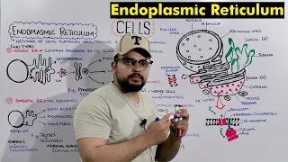 Endoplasmic reticulum Structure and Functions Detailed Series [upl. by Adnaluoy247]