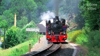 Eisenbahn 2012 45 Dampfloks  Steam Trains  Züge [upl. by Aixela]