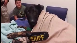 Dying K9 Officer Gets Heartbreaking Last Call Honor By Police Department [upl. by Tamaru]