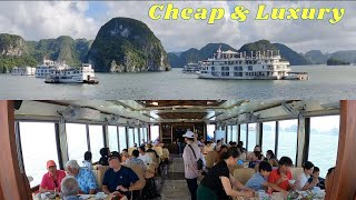 Planning Halong Bay Day Trip Watch now for cheap amp luxury tour [upl. by Naesal45]