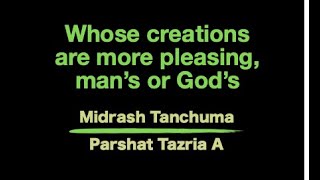 Midrash Tazria Whose creations are more pleasing man’s or God’s [upl. by Eiramoj812]