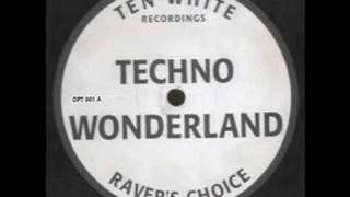 Ravers Choice  Techno Wonderland [upl. by Luella549]