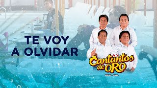 TE VOY A OLVIDAR  CANTARITOS DE ORO  VIDEO OFICIAL [upl. by Ajnek]