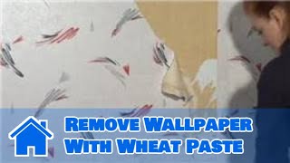 Wallpaper  How to Remove Wallpaper With Wheat Paste [upl. by Anestassia]