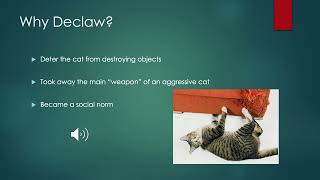 Declawing Onychectomy in Cats An Overview [upl. by Tice]