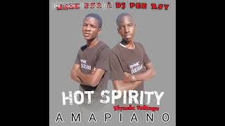 Hot Sprity  Amapiano  Mzee dsQ and Pee Asy 🔥🎶 [upl. by Einnaoj]