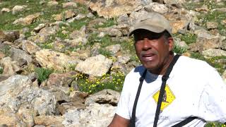 Alpine Animals Meet Colorados Marmots [upl. by Demmahom]