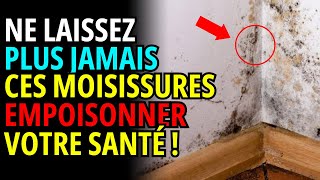 9 remèdes maison pour vous débarrasser des moisissures de votre maison [upl. by Seton]