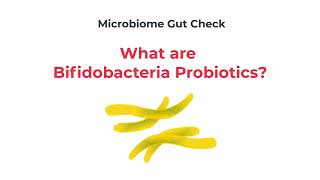 Bifidobacteria Probiotics Explained [upl. by Lehcer]