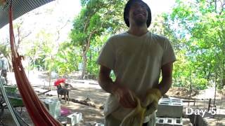 WWOOFing in Costa Rica [upl. by Publea]