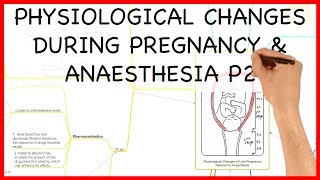 PHYSIOLOGICAL CHANGES DURING PREGNANCY PART 2 PHYSIOLOGY SERIES [upl. by Secnirp]