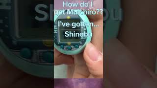 How do I get a Muichiro tamagotchi kny confused muichiro tamagotchi demonslayer anime [upl. by Hurwitz]