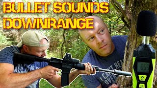 What do bullets sound like downrange subsonic suppressed vs supersonic [upl. by Ardni]