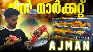 വല്ലാത്തൊരു മാർക്കറ്റ് 😳 അജ്‌മാൻ യാത്ര ep 1 AJMAN MARKET [upl. by Onilatac]