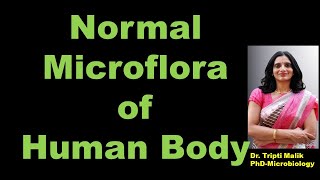 Normal Microflora of Human Body Normal Microflora Microbiology  NMF Skin  MSc Microbiology [upl. by Loux]