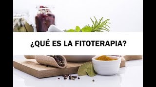 ¿Qué es la Fitoterapia [upl. by Narol]