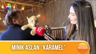 Annesi terk etti veterineri sahip çıktı [upl. by Annovaj]