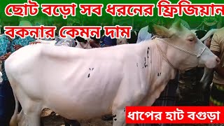 328 সব ধরনের ফ্রিজিয়ান বকনা বাছুরের দাম জানুন ধাপের হাট holstein frisian culf market cow price [upl. by Nitsuj]