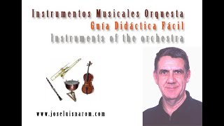 Instrumentos Musicales Orquesta  Guía Didáctica Fácil  Instruments of the orchestra [upl. by Duwad697]