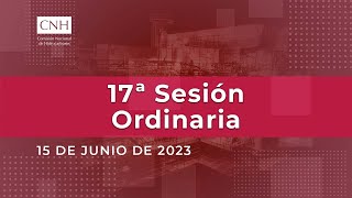 17ª Sesión Ordinaria del Órgano de Gobierno 15 junio 2023 [upl. by Omero]