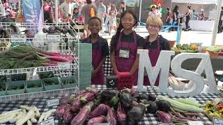 Summerlin Library Outdoor Fall Festival on Saturday October 5 2024 [upl. by Lohrman561]