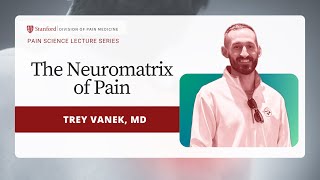 The Neuromatrix of Pain with Dr Trey Vanek [upl. by Sylram]