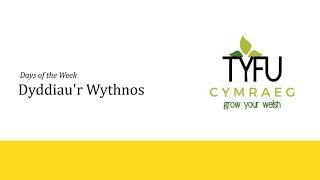 Dyddiaur Wythnos  Days of the Week  Beginners Welsh Lesson with Tyfu Cymraeg 00421 [upl. by Flore]