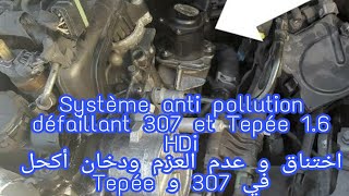 Système anti pollution défaillant 307 et Tepée اختناق و عدم العزم في محرك Tepée و 307 16 hdi [upl. by Viridissa760]