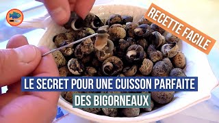 Cuisson des bigorneaux recette facile [upl. by Mafala]