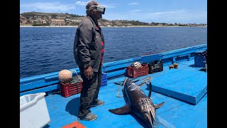 Esperti del turismo a caccia di pesce spada Così si racconta Messina nel mondo [upl. by Danyelle]