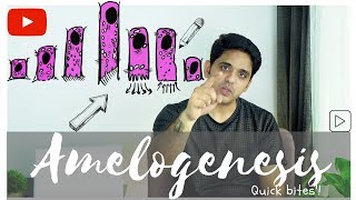 Amelogenesis Quick bites [upl. by Aydiv]