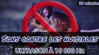 Ultrason contre pour chien TRES PUISSANT [upl. by Robenia130]