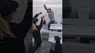 Found Em First Sporties To Fish Albacore In 2024 Off West Coast Vanisle 072024 tunafishing [upl. by Bluma]