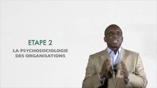 Psychosociologie des organisations [upl. by Ahsineb]