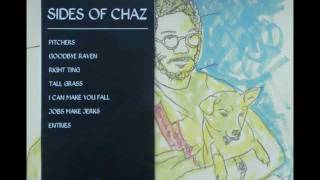 Toro y Moi  Entries  Side Of Chaz [upl. by Toile712]