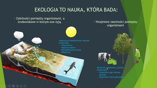 Czym zajmuje się ekologia Organizm a środowisko biologia szkoła podstawowa [upl. by Pegma]