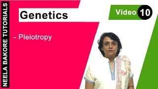 Genetics  Principles of Inheritance amp Variations  Pleiotropy  NEET  Neela Bakore Tutorials [upl. by Musser653]