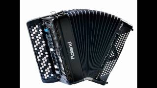 accordeon instrumentaal amsterdamse grachten [upl. by Wickman]