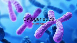 CSIR Basic concept of Cytogenetic  karyotype   BioLog [upl. by Gran]