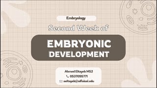 Embryology III 2nd week of development amp Extraembryonic Mesoderm  Ahmed Eltayeb  FND 111 [upl. by Sankey]