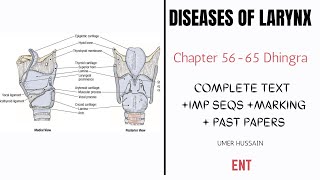 Larynx ENT  Ch 5665  Congenital Lesions  Benign Tumours  Cancer Larynx  Tracheostomy  Anatomy [upl. by Ambrosius]