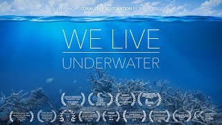 We live underwater Biorock Coral Reef Restoration  Artificial Reef [upl. by Trillbee]