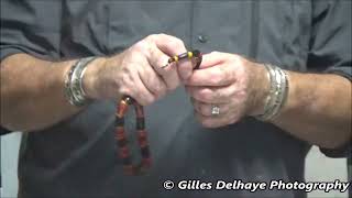 Coral Snake Venom Extraction [upl. by Marzi583]