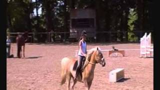 demo haras dhennebont [upl. by Ativ674]