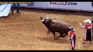 PBR Lies About Mortally Injured Bull [upl. by Ettenwahs]