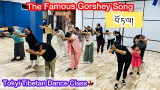 The Famous Gorshey song Potala པོ་ཏ་ལ། སྒོར་གཞས་གསར་པ། Requested Video tutorial tibetandance [upl. by Ainad129]