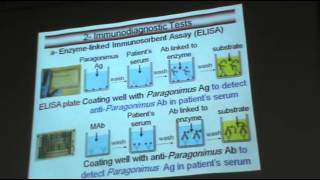 DrAzza  Helminths 3  Lung Flukes [upl. by Grondin]