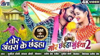 Mor Chhaiya Bhuiya 2  Cg Movie Song  Tor Achara Ke Chhaiya  Chhattisgarhi Gana  Man Diksha  AVM [upl. by Eissej]